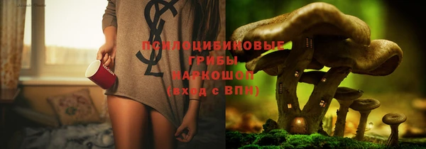 прущая мука Белокуриха